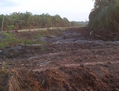 Warga Minta Ganti Rugi Lahan Terkena Proyek Multy Years